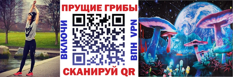 Псилоцибиновые грибы Psilocybine cubensis  наркошоп  Данков 